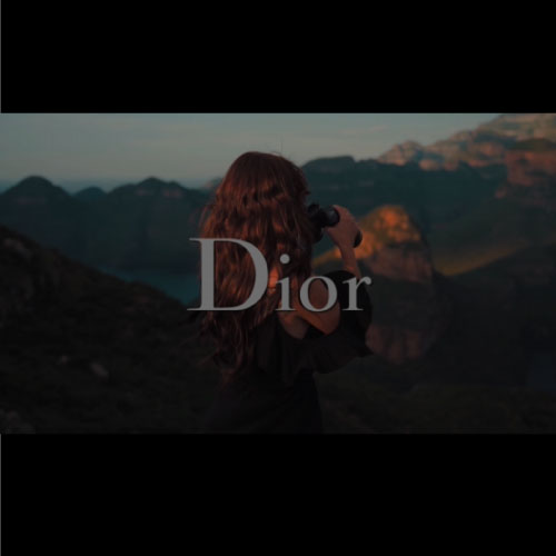 Motion-dior01